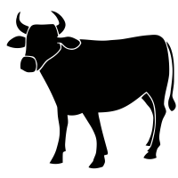 200x200 Cow Icons