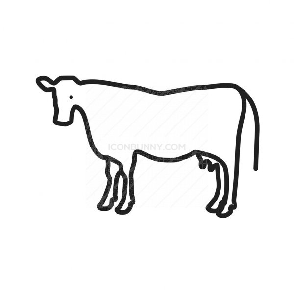 600x600 Cow Line Icon