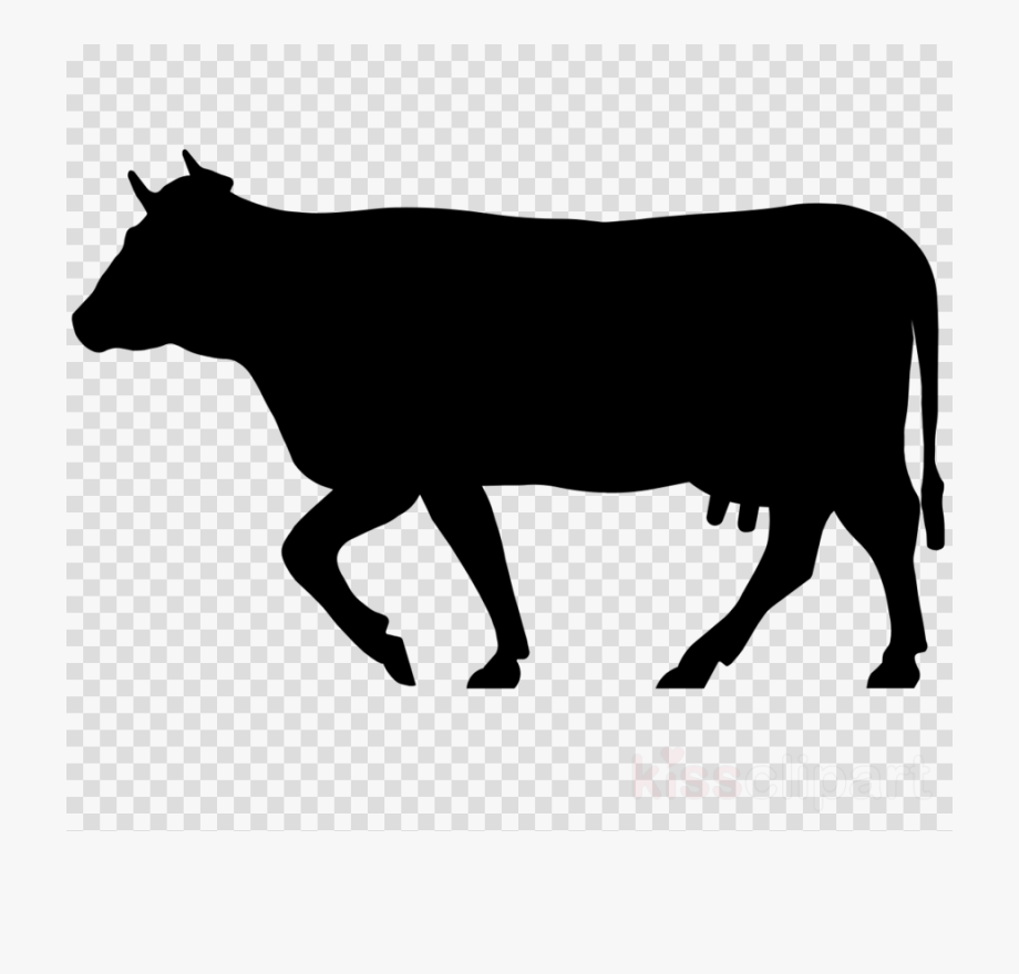 920x880 Cow Icon Png Clipart Beef Cattle Welsh Black Cattle