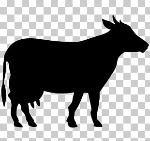 310x291 Page Cow Icon Png Cliparts For Free Download Uihere
