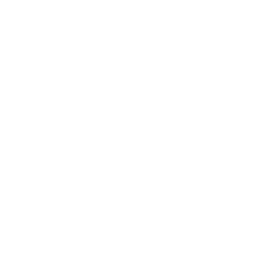 256x256 White Cow Icon