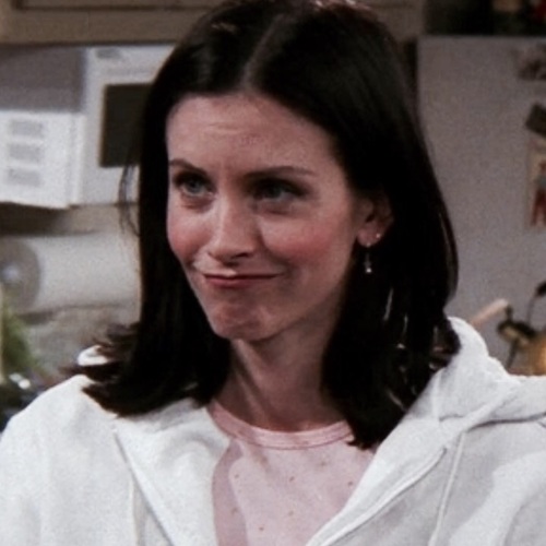 500x500 Image About Icons In Courteney Cox