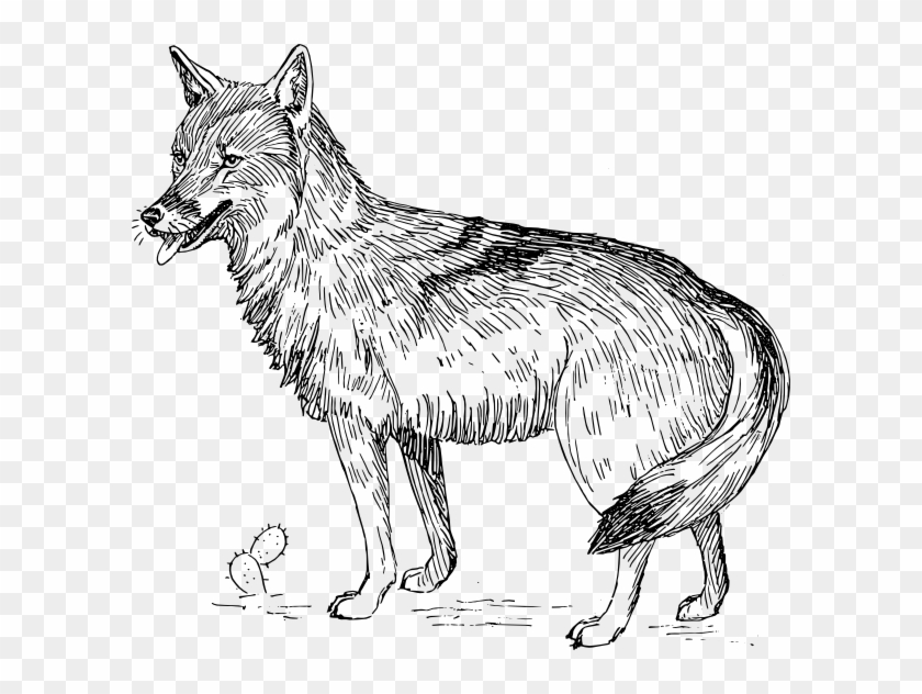 840x632 How To Set Use Coyote Icon Png, Transparent Png