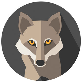 320x320 Coyote Face Icon