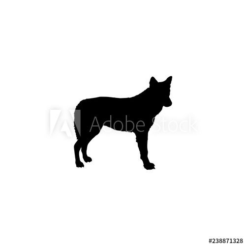 500x500 Coyote Vector Icon Coyote Sign On White Background Coyote Icon