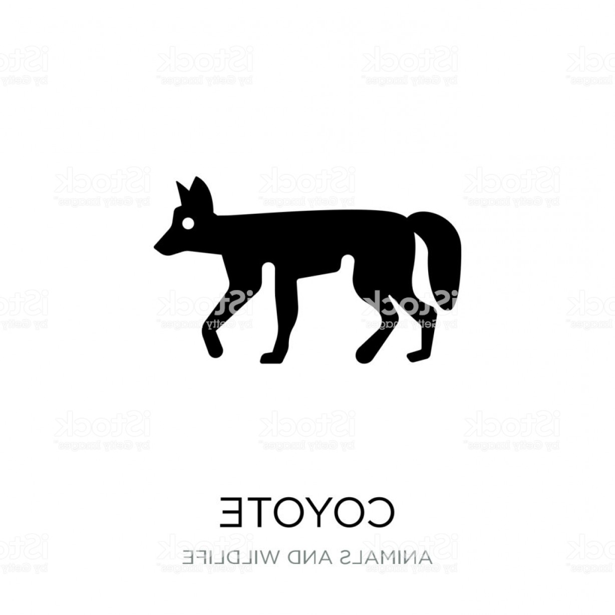 1228x1228 Coyote Icon Vector On White Background Coyote Trendy Filled Icons