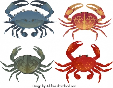 468x363 Sea Crab Icon Templates Colorful Modern Design Vectors Stock
