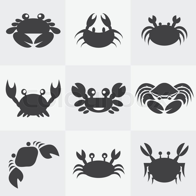 800x800 Set Of Vector Crab Icons On Gray Stock Vector Colourbox