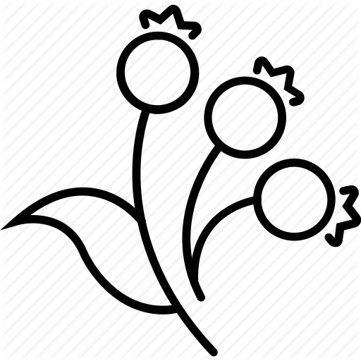 512x512 Cranberry, Food, Fruit, Vegan Icon