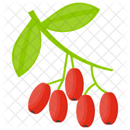 256x256 Cranberry Icon Of Flat Style