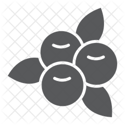 256x256 Cranberry Icon Of Glyph Style