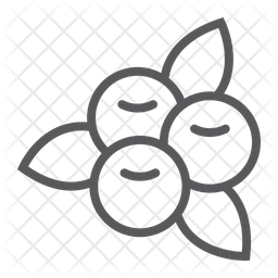 256x256 Cranberry Icon Of Line Style