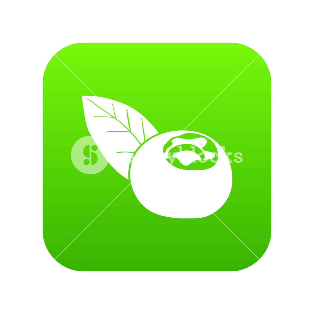 1000x1000 Cranberry Icon Green Vector Isolated On White Background Royalty