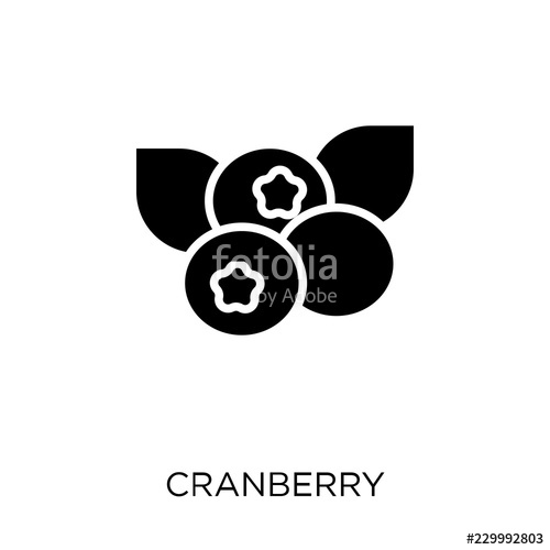 500x500 Cranberry Icon Cranberry Symbol Design From Fruitandvegetables