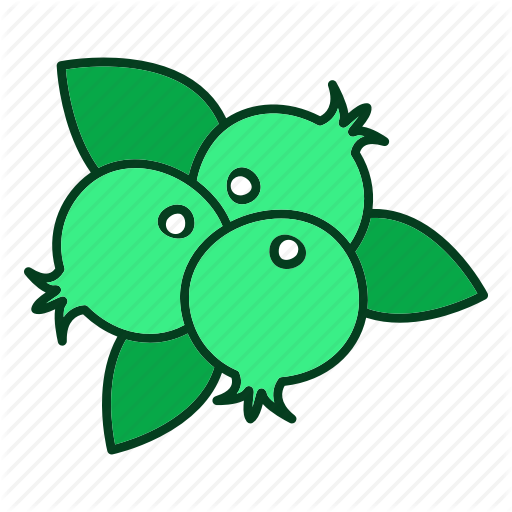 512x512 Cranberry Icon