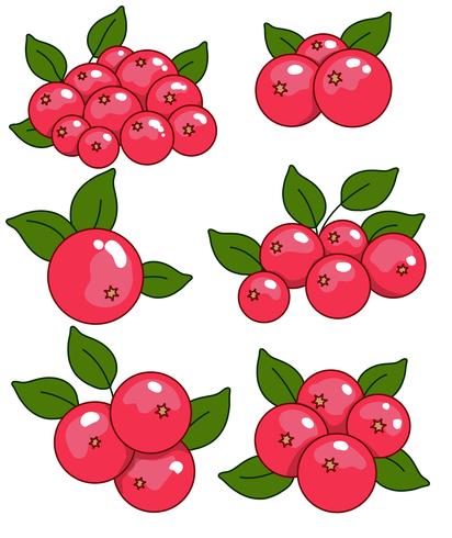 412x490 Vector Cranberry Icon Set