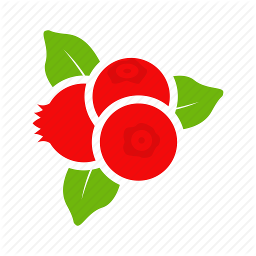 512x512 Colour, Cranberries, Cranberry, Currant Icon