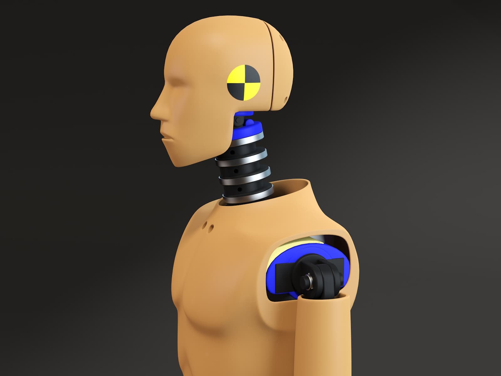 1600x1200 Crash Test Dummy Model