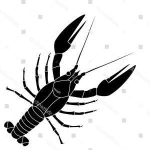 300x300 Crawfish Lobster Silhouette Isolated White Background Vector Icon