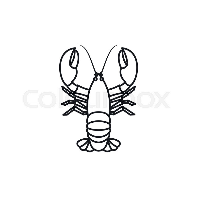 800x800 Crayfish Icon In Outline Style Stock Vector Colourbox
