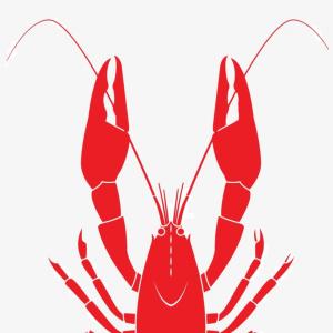 300x300 Stock Illustration Crawfish Icon Flat Style Lobster Isolated White