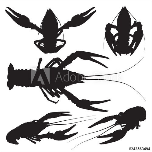 500x500 Vector Icon Crayfish Set Of Crawfish Silhouettes On White