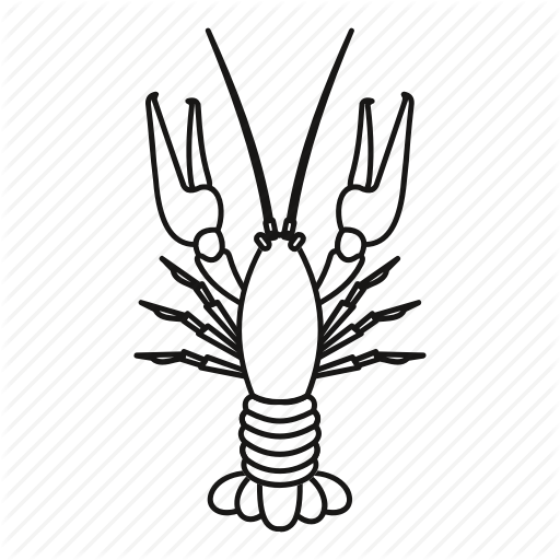 512x512 Boiled, Crawfish, Fish, Food, Gourmet, Line, Outline Icon