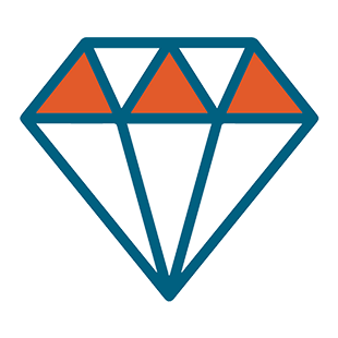 310x310 Icon Core Values