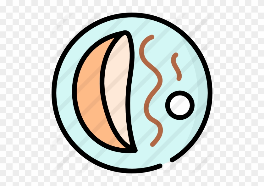 840x592 Crepe Free Icon