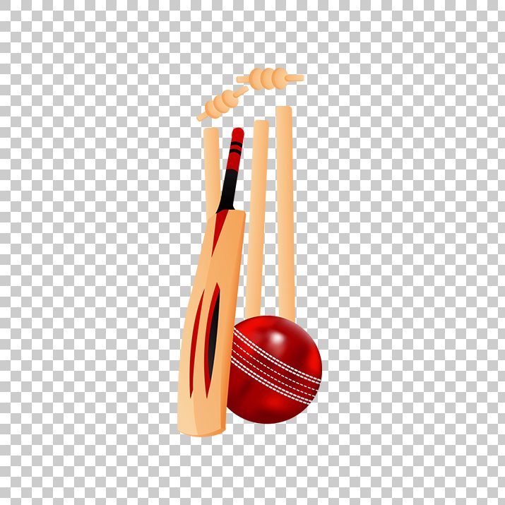 715x715 Cricket Icon Png Image Free Download