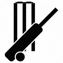 256x256 Cricket Icon