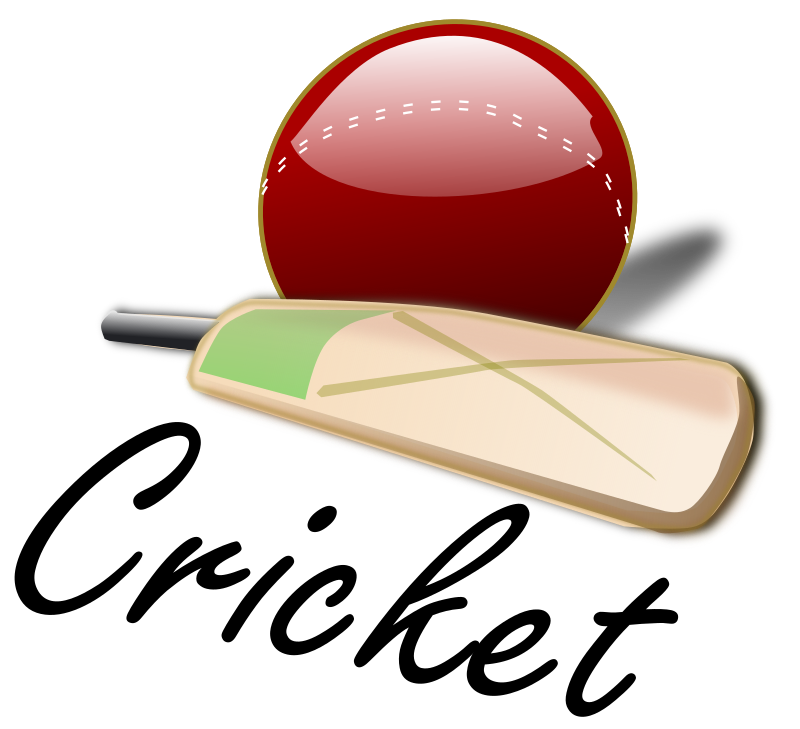 800x729 High Resolution Cricket Ball Png Icon