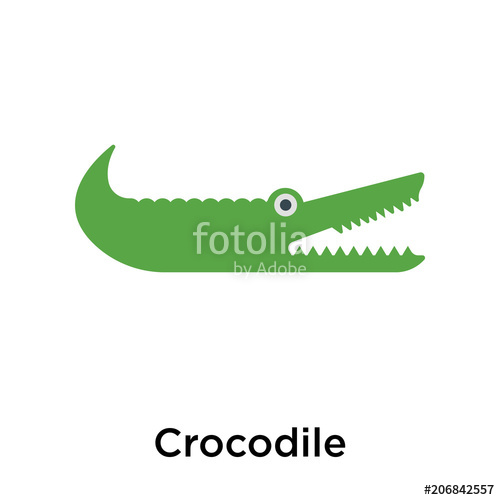 500x500 Crocodile Icon Vector Sign And Symbol Isolated On White Background