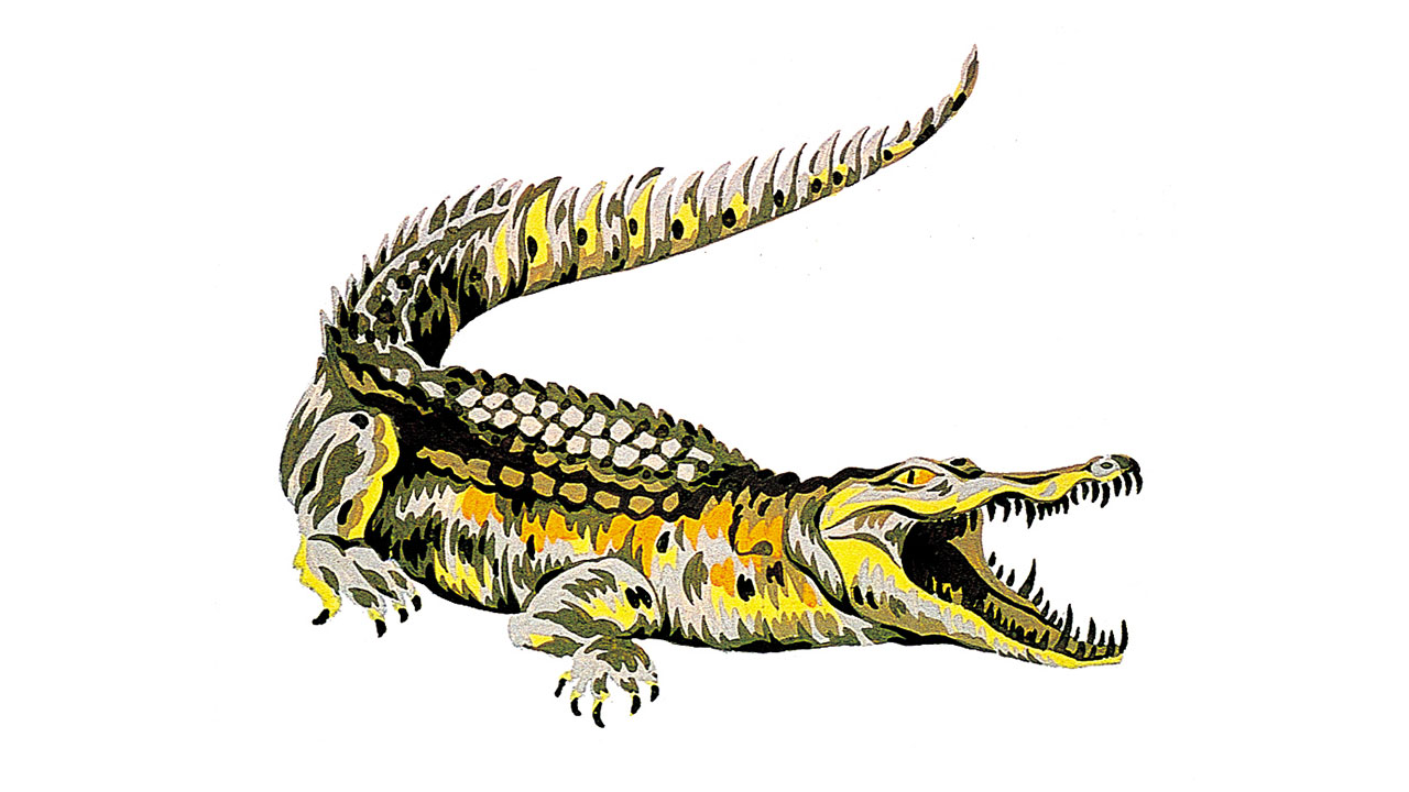 1280x720 Lacoste Crocodile