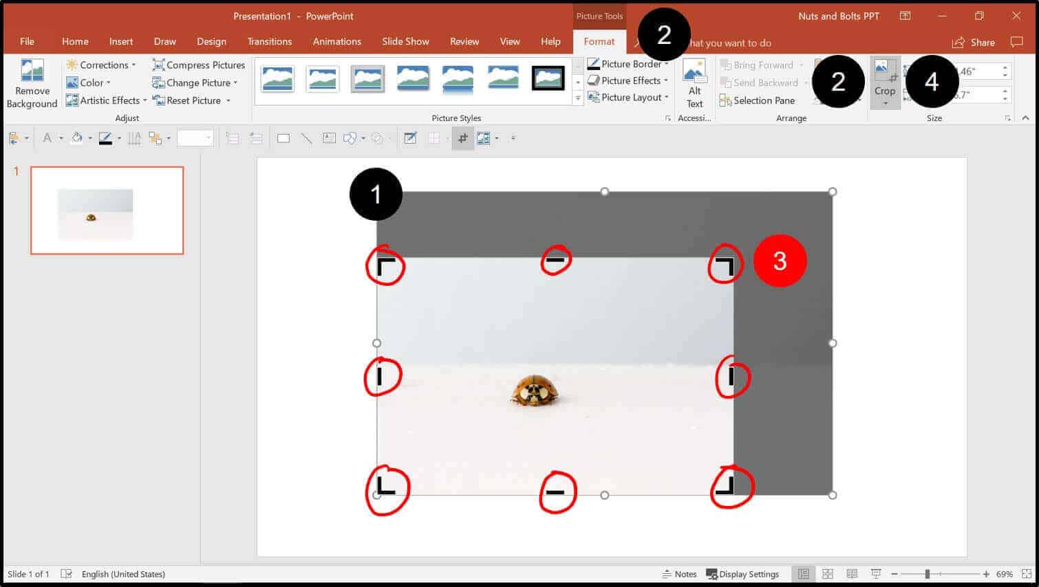 How to crop. Crop в POWERPOINT. Обрезать изображение POWERPOINT. Picture Tools в POWERPOINT. Как обрезать рисунок по фигуре в POWERPOINT.
