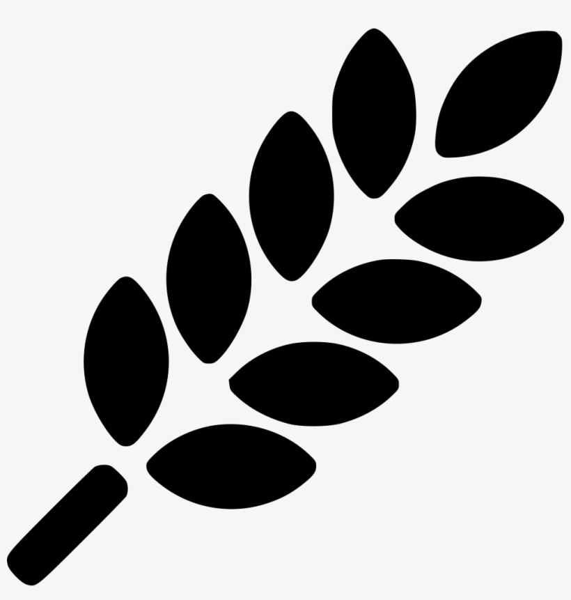 820x861 Fruit Healthy Wheat Crop Fresh Ripe Diet Comments