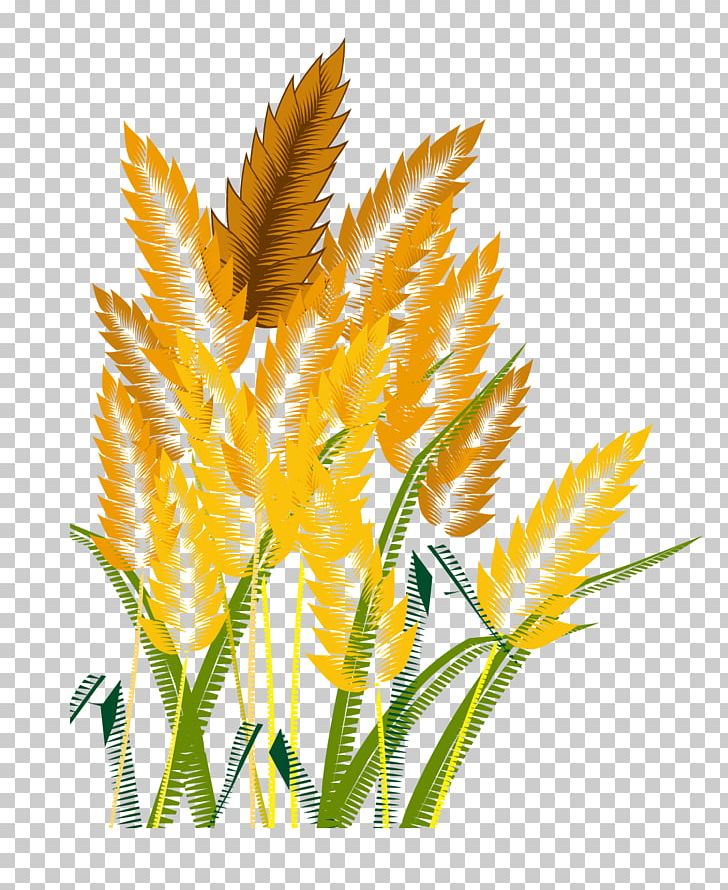728x890 Crop Icon Png, Clipart, Adobe Illustrator, Cartoon Wheat