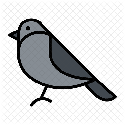 512x512 Crow Icon Of Colored Outline Style
