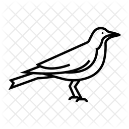 256x256 Crow Icon Of Line Style