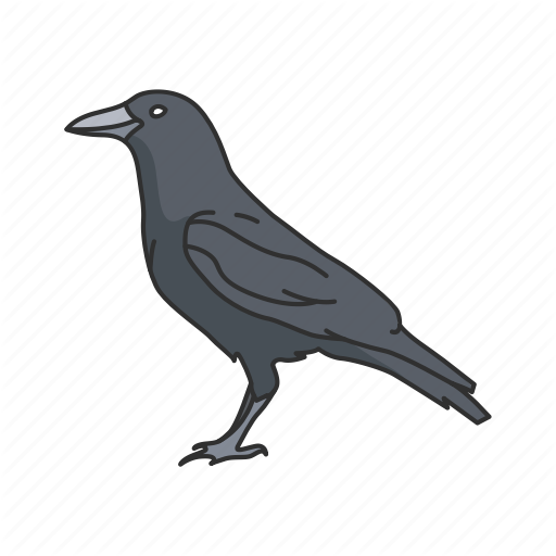 512x512 American Crow, Animal, Bird, Crow, Raven, Rook, Wings Icon