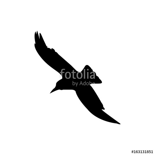 500x500 The Crow Icon Bird And Flight, Eagle Symbol Flat Vector