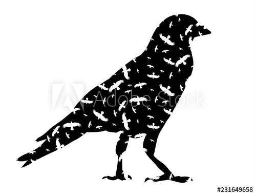 500x380 Silhouette Of A Bird, Crow, Icon