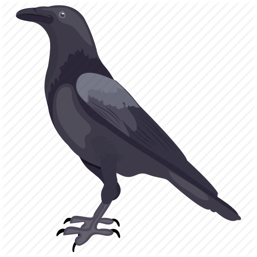 512x512 Bird, Blackbird, Corvus, Crow, Raven Crow Icon