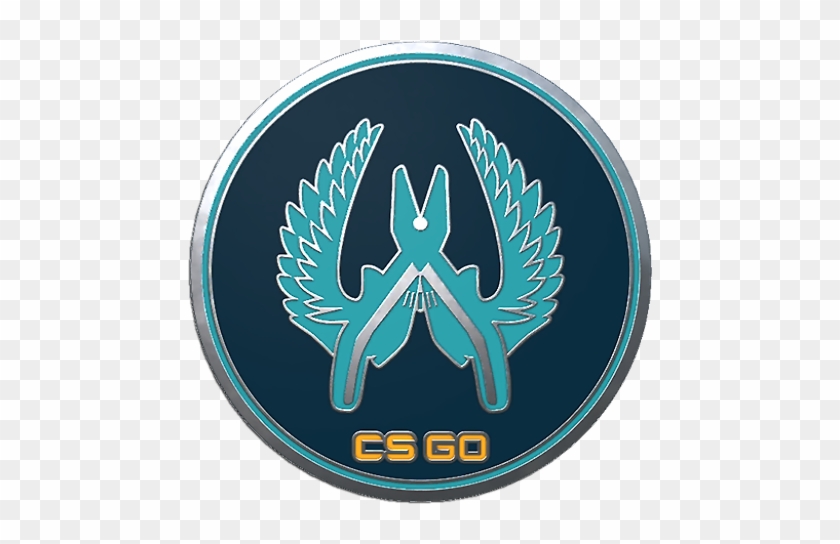 840x544 Csgo Collectible Pin Guardian Png Icon Image