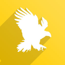 256x256 Csgo Insider