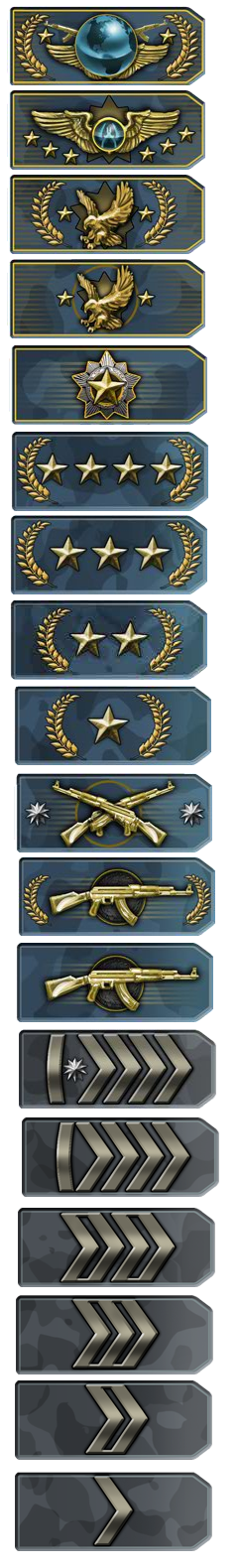 240x1580 Csgo Skill Group Icons Globaloffensive