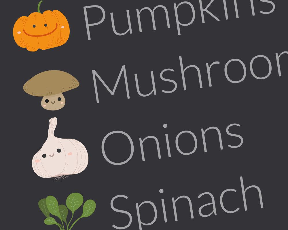 1000x800 How To Add Custom Icons To List Items Using Css