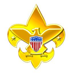 256x256 Bsa Logo Icon