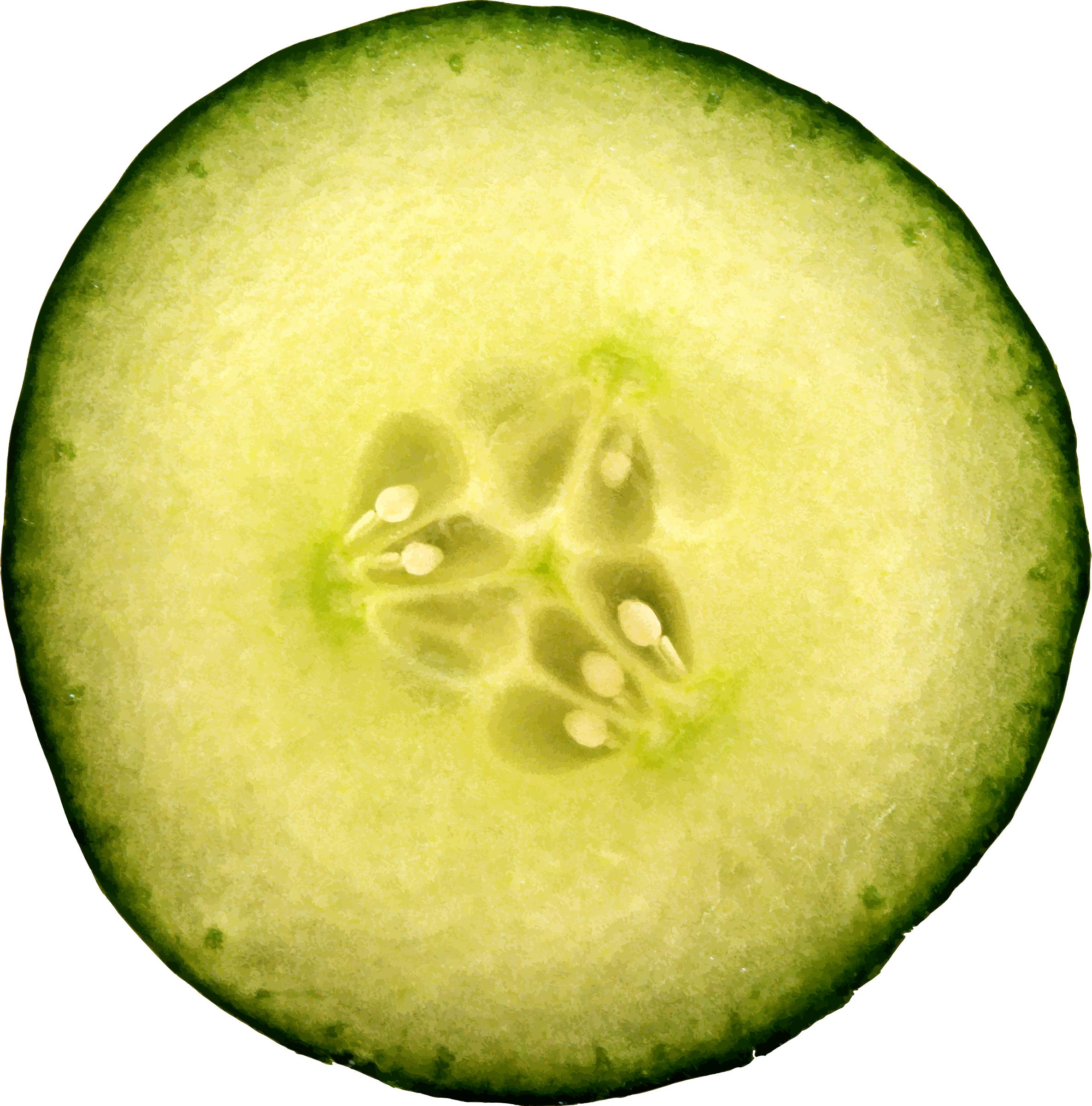 2370x2400 Cut Cucumber Icons Png