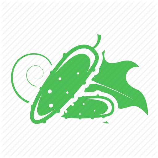 512x512 Cucumber, Cucumbers, Fresh Cucumber Icon
